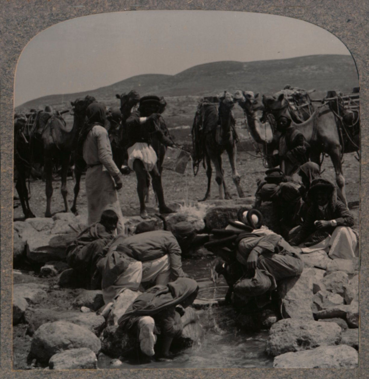 سقي الإبل في جاكوبس ويل ، c1900 بواسطة غير معروف