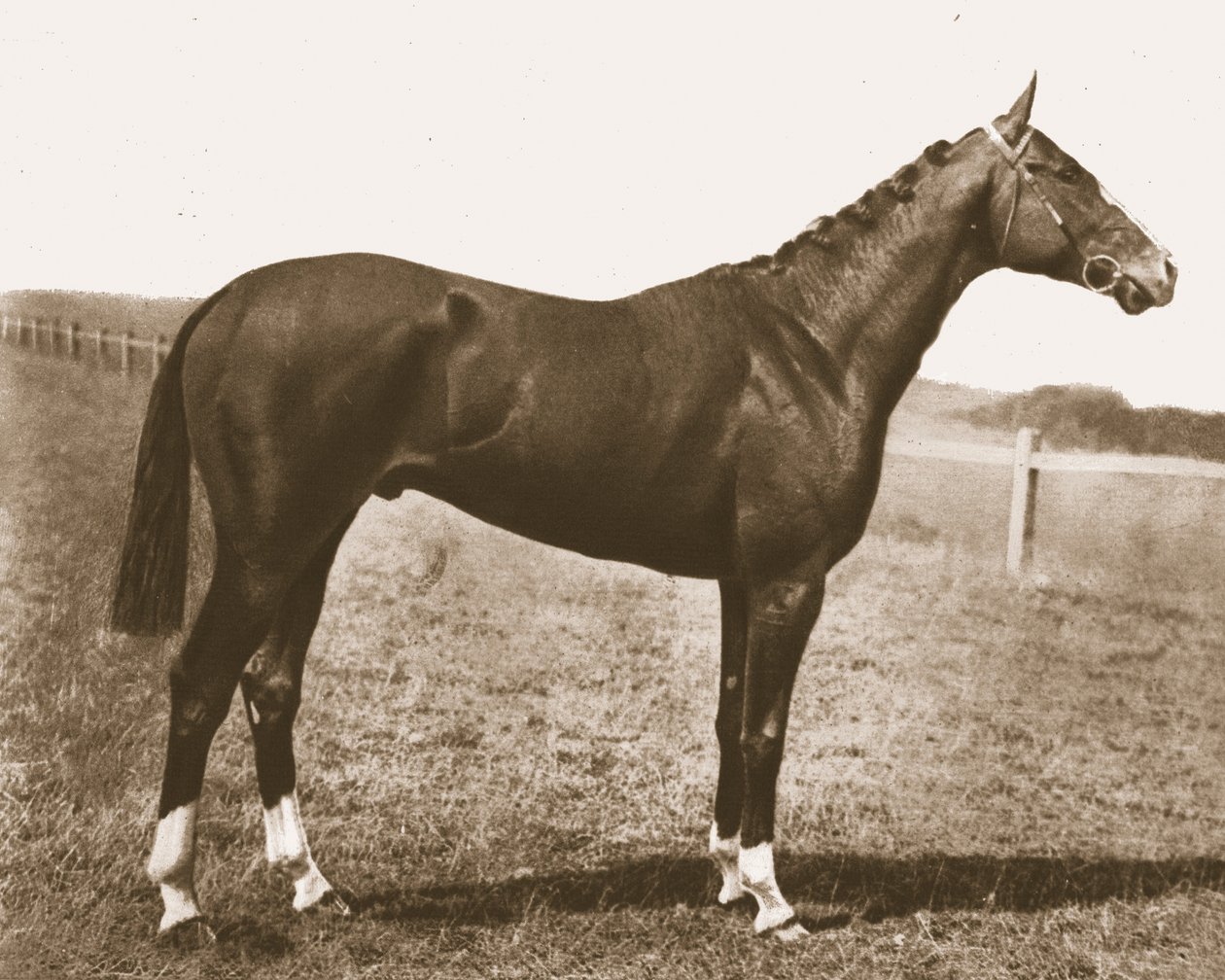 ويذركوك ، 1911. بواسطة غير معروف