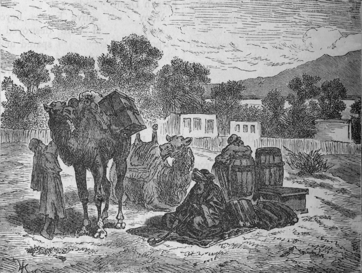 بئر موسى ، بالقرب من السويس ، c1882 بواسطة غير معروف