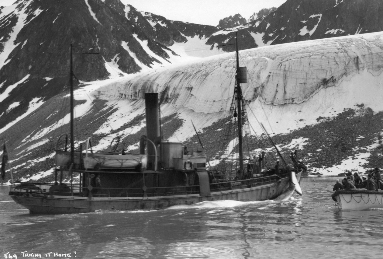 صيد الحيتان ، خليج المجدلية ، سبيتسبيرجين ، النرويج ، 1929 بواسطة غير معروف