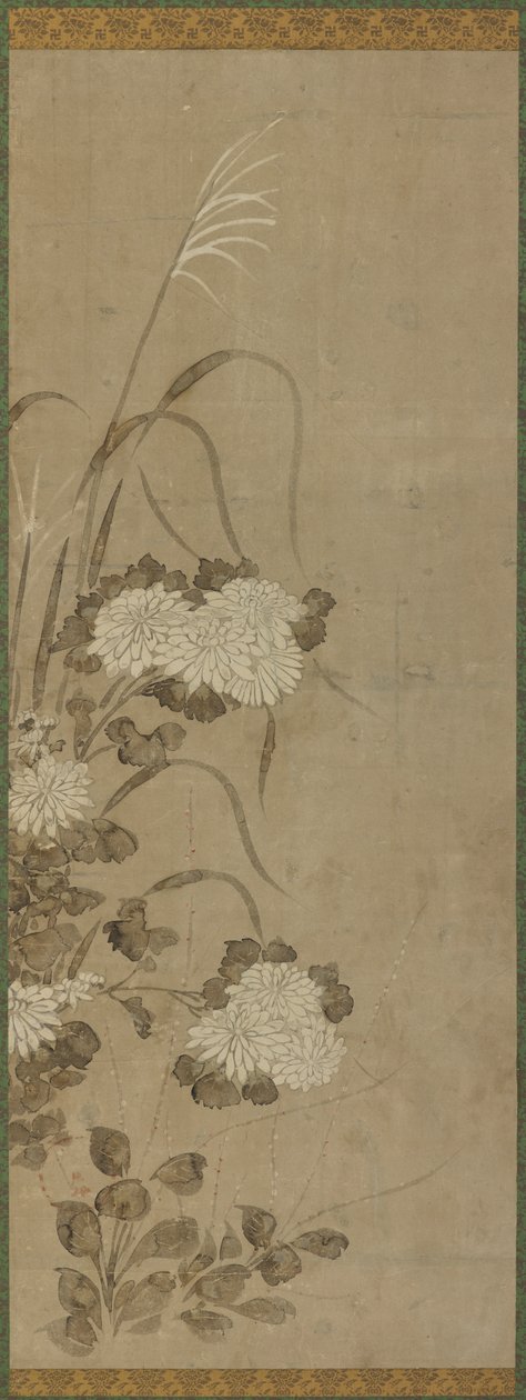 الأقحوان الأبيض والأعشاب ، فترة إيدو ، 1615-1868. بواسطة غير معروف