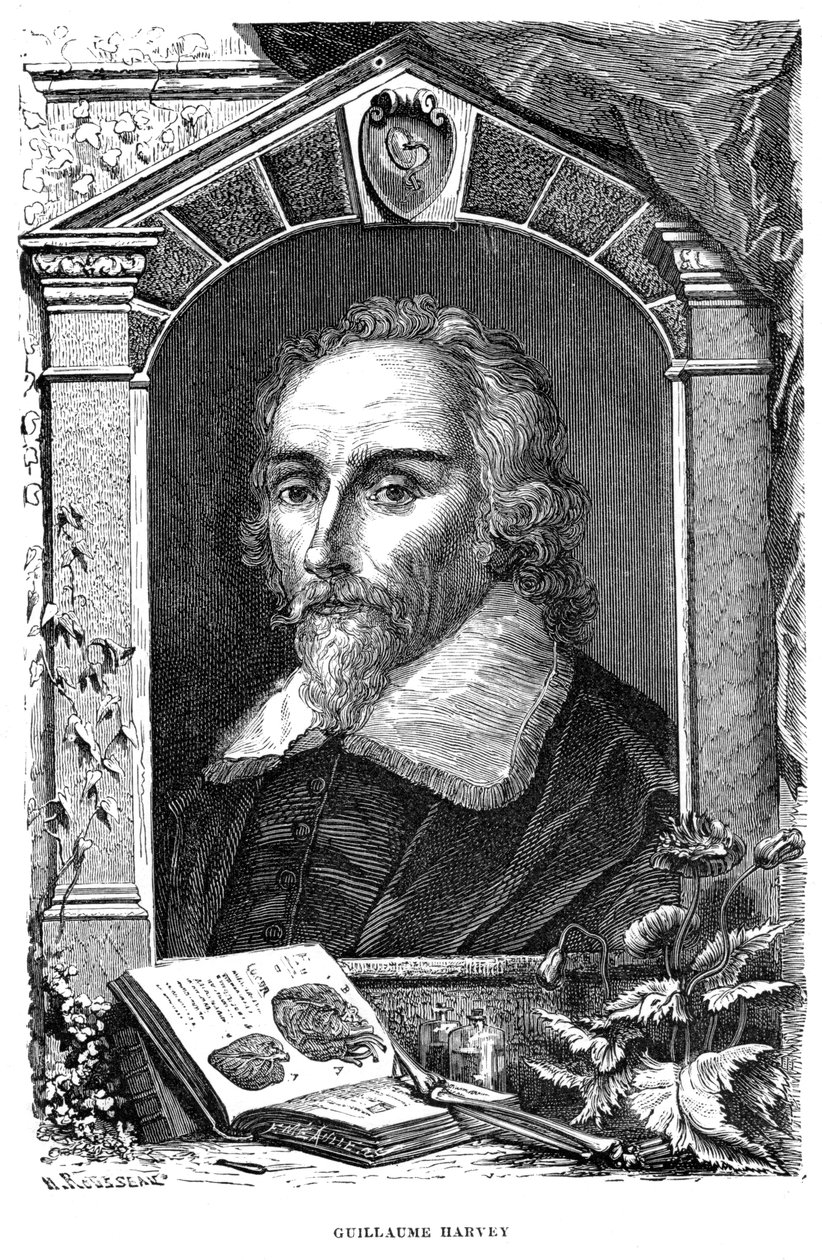 ويليام هارفي 1578-1657 طبيب إنجليزي ، القرن السابع عشر بواسطة غير معروف