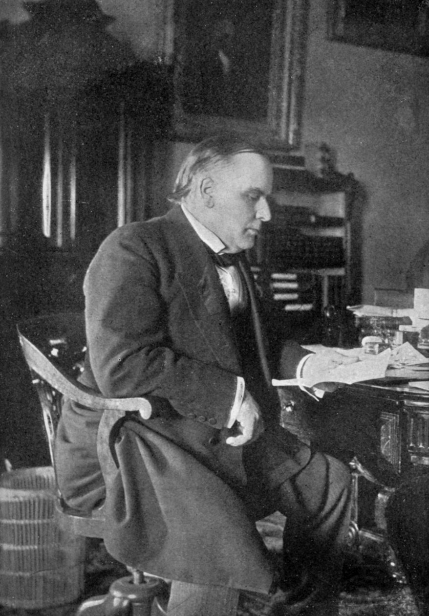 وليام ماكينلي ، الرئيس الخامس والعشرون للولايات المتحدة ، 1898 بواسطة غير معروف