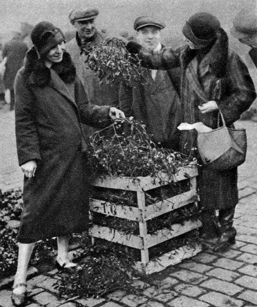 نساء يختارن باقات من الهدال ، سوق كاليدونيان ، لندن ، 1926-1927 بواسطة غير معروف