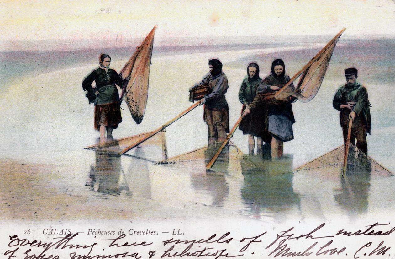 صيادو الربيان النساء ، كاليه ، 1905 بواسطة غير معروف