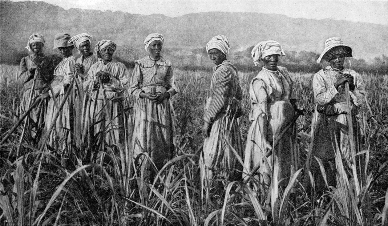 امرأة تميل قصب السكر الصغير في جامايكا ، 1922 بواسطة غير معروف