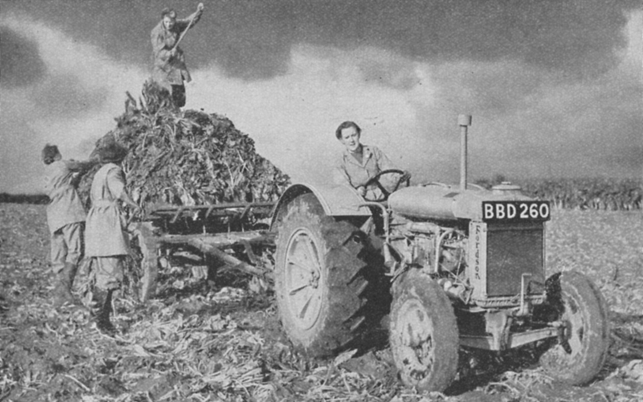 جيش الأرض النسائية يرفع محصولًا ، الحرب العالمية الثانية ، 1940 بواسطة غير معروف