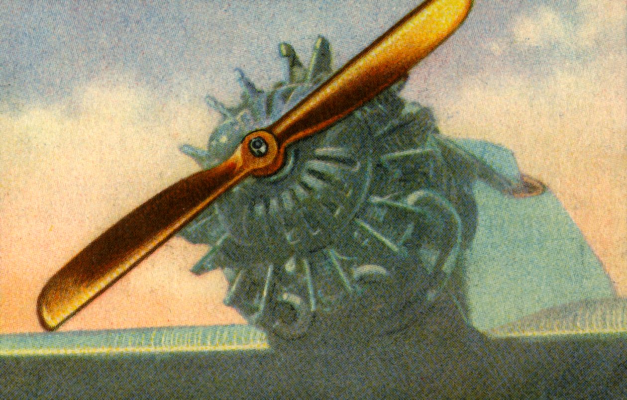 مروحة طائرة خشبية مصنوعة من شركة Schwarz Propeller-Werk ، 1932. بواسطة غير معروف