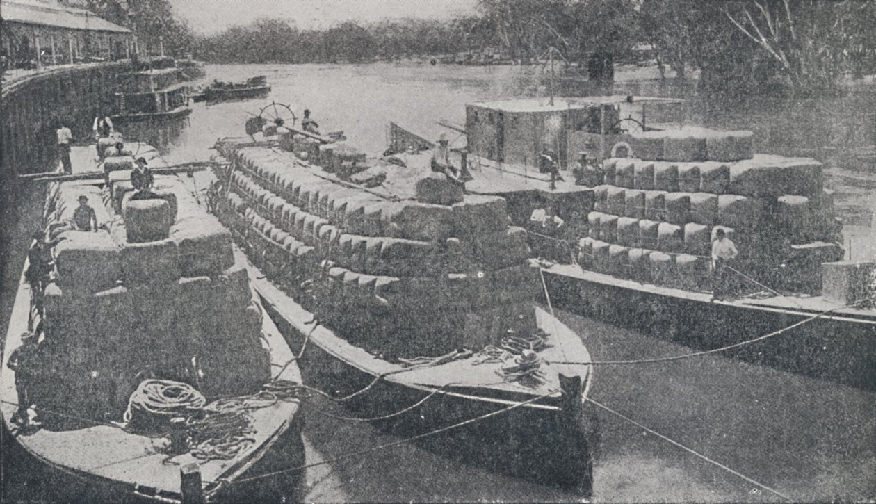 المراكب الصوفية على نهر موراي ، 1923. بواسطة غير معروف