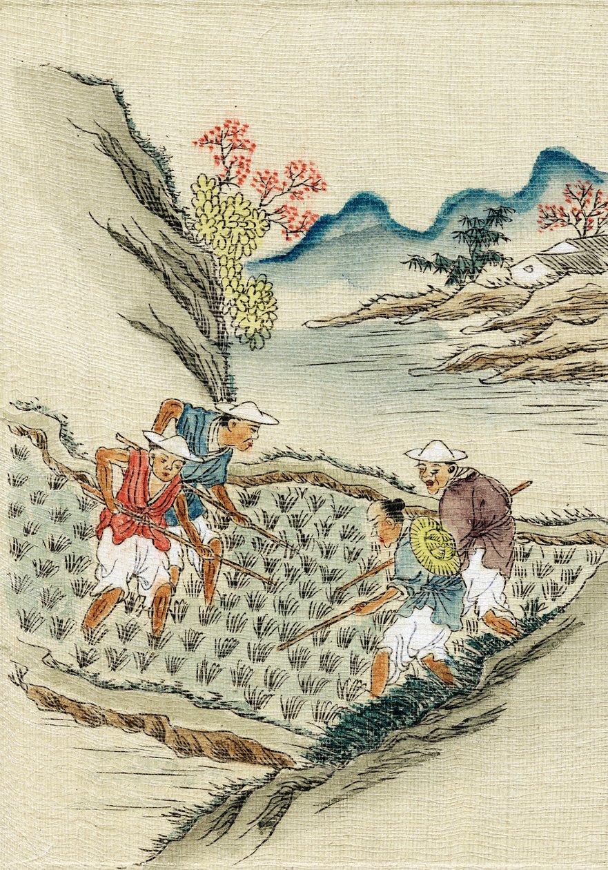 عمال يزرعون الأرز في حقل أرز ، القرن التاسع عشر بواسطة غير معروف