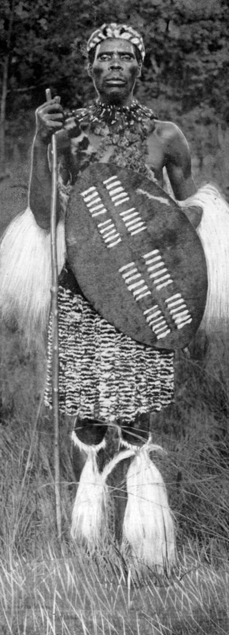 رئيس الزولو ، 1926 بواسطة غير معروف