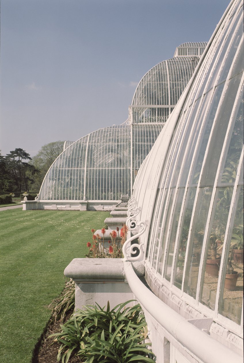 قسم من Palm House ، صممه Decimus Burton ، 1800-81 بواسطة غير معروف غير معروف