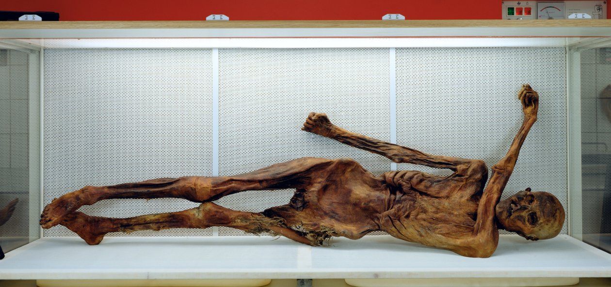 The Oetzi Iceman بواسطة غير معروف غير معروف