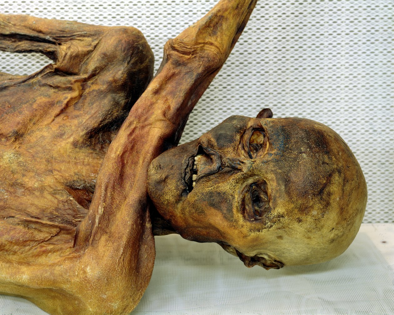 The Oetzi Iceman بواسطة غير معروف غير معروف