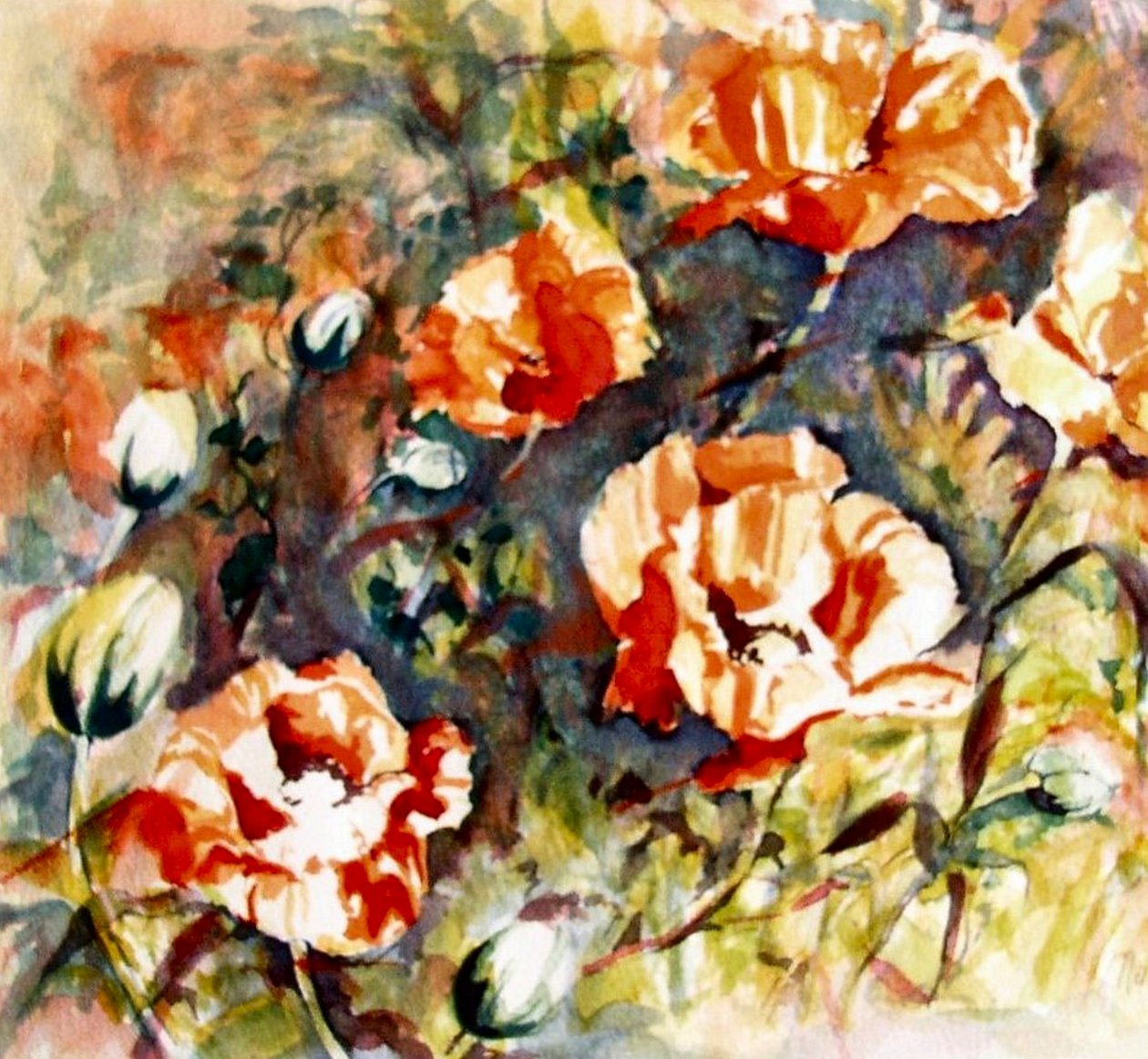 صورة غير معروفة بواسطة غير معروف غير معروف