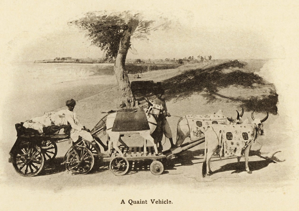  بواسطة فنان غير معروف