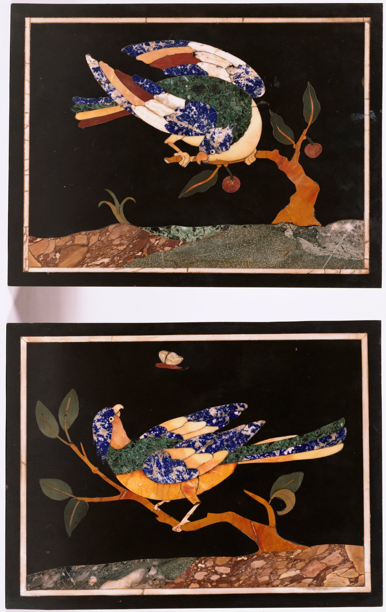 زوج من اللوحات الفلورنسية pietra dura تصور الطيور بواسطة غير معروف