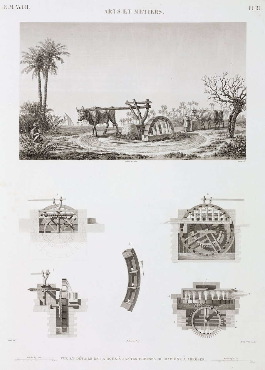 قوة الحيوان للري بالحيوان ، مصر عام 1798 بواسطة غير معروف