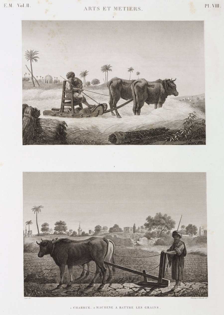 الزراعة الصالحة للزراعة ، الحرث ، آلة الدرس والمحراث ، مصر ، ج 1798 بواسطة غير معروف