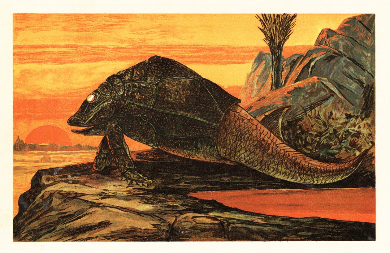 Asterolepis cornutus ، أنواع منقرضة من الأسماك المطلية بالدروع ، 1908 (طباعة حجرية) بواسطة فنان غير معروف
