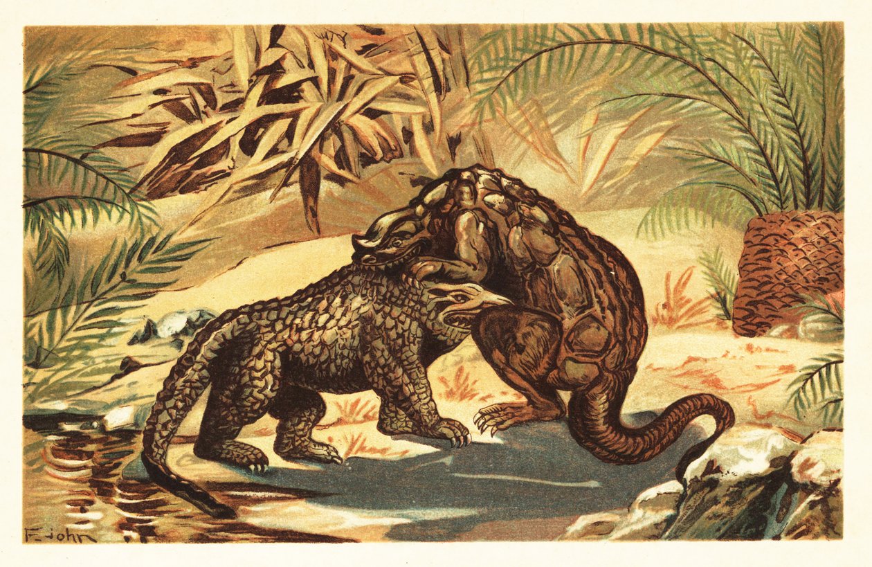 معركة بين Megalosaurus Bucklandii و Iguanodon Bernissar1908 (طباعة حجرية) بواسطة فنان غير معروف