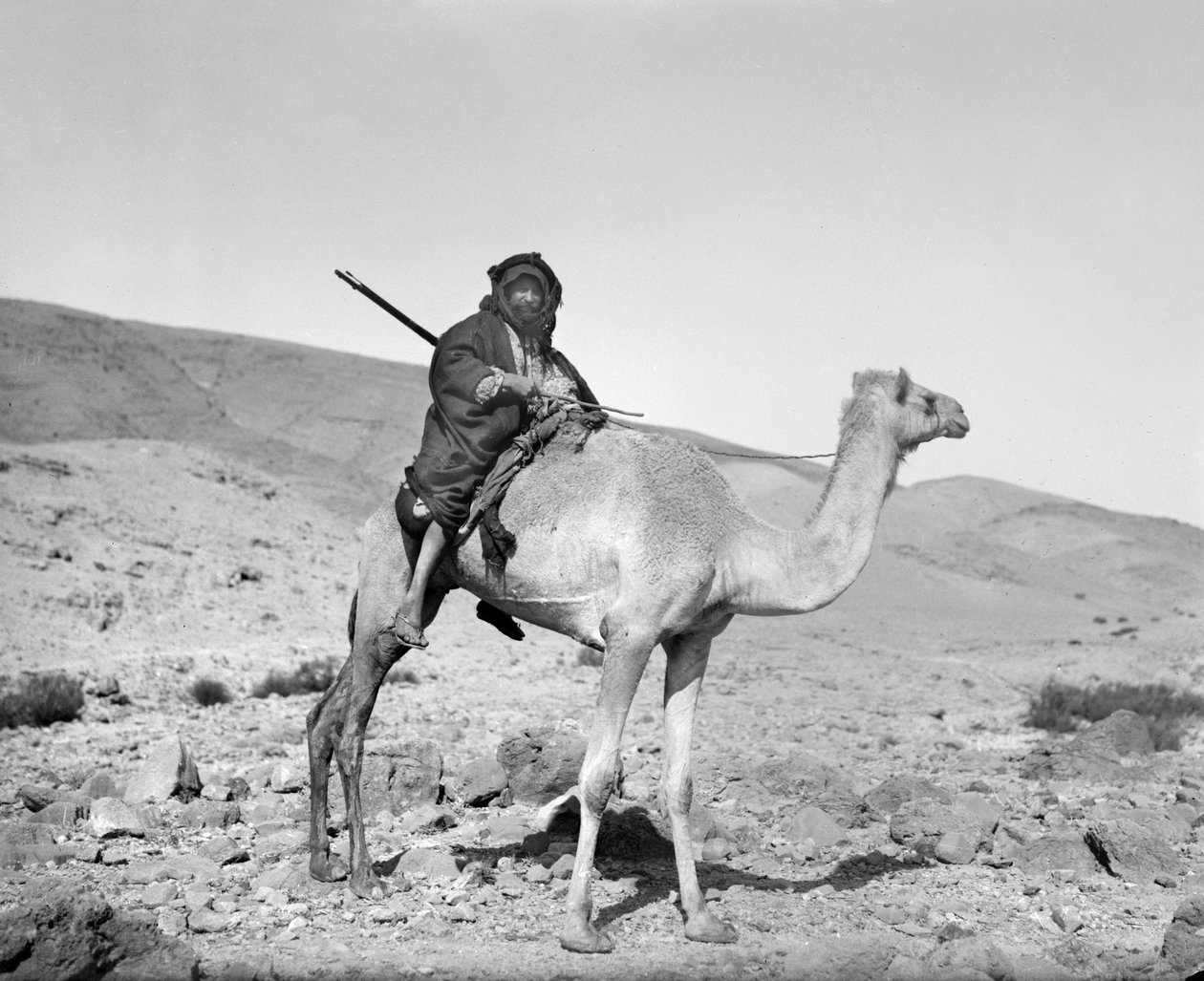 بدوي يركب جمل حوالي 1936 (أبيض وأسود) بواسطة غير معروف