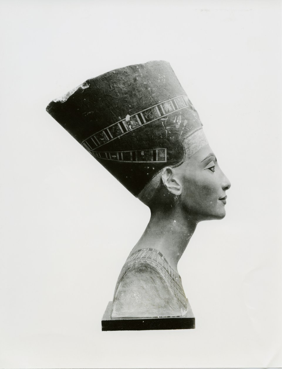 Bust of Queen Nefertiti, side view, copy of bust in the Aegyptisches Museum, SMPK, Berlin (painted limestone) (b/w photo) (see also 114018-20) بواسطة غير معروف