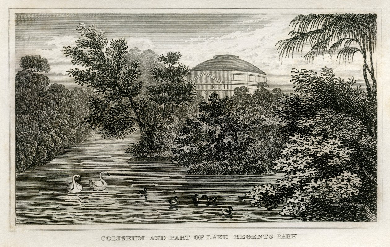 Coliseum and lake, Regent