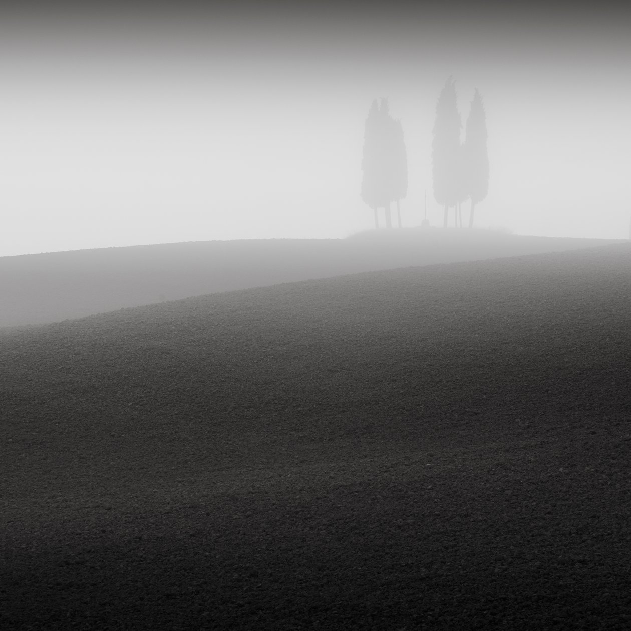 مؤتمر ، توسكانا ، إيطاليا ، 2015 (b / w photo) بواسطة فنان غير معروف