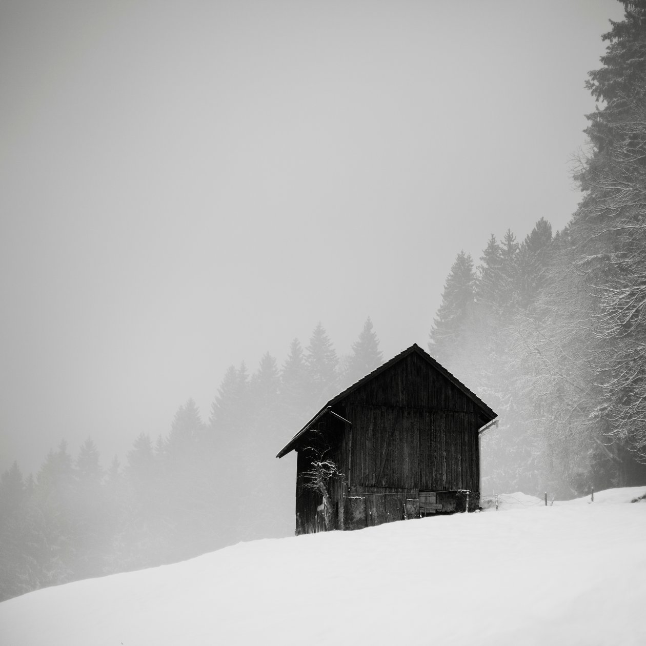 سر المقاصة ، Oberstaufen ، ألمانيا ، 2013 (b / w photo) بواسطة فنان غير معروف