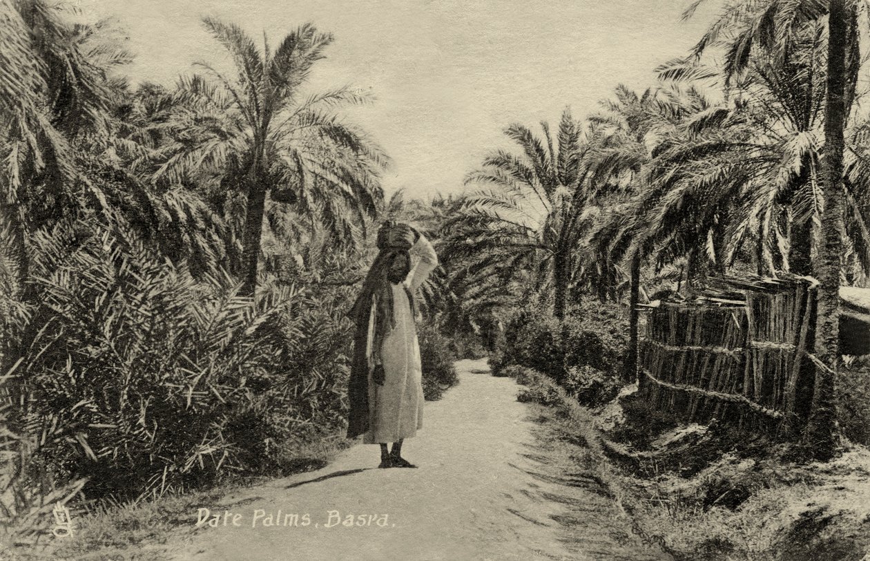  بواسطة فنان غير معروف