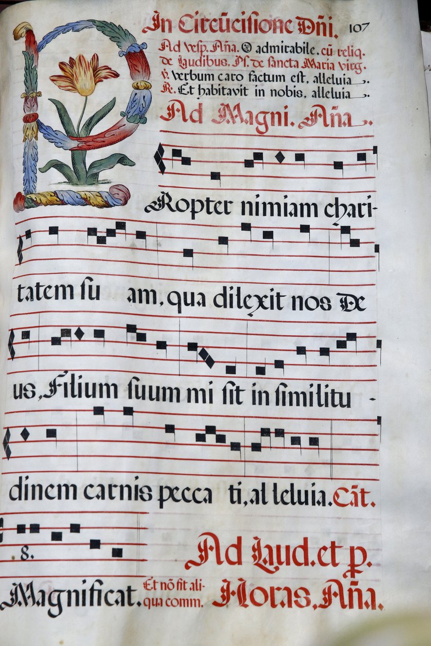 يتم تشغيل Domus Galilaeae أو House of Galilee من قبل المنظمة الكاثوليكية Neocatechumenal Way ، Antiphonary ، ختان يسوع ، جبل التطويبات ، إسرائيل بواسطة غير معروف