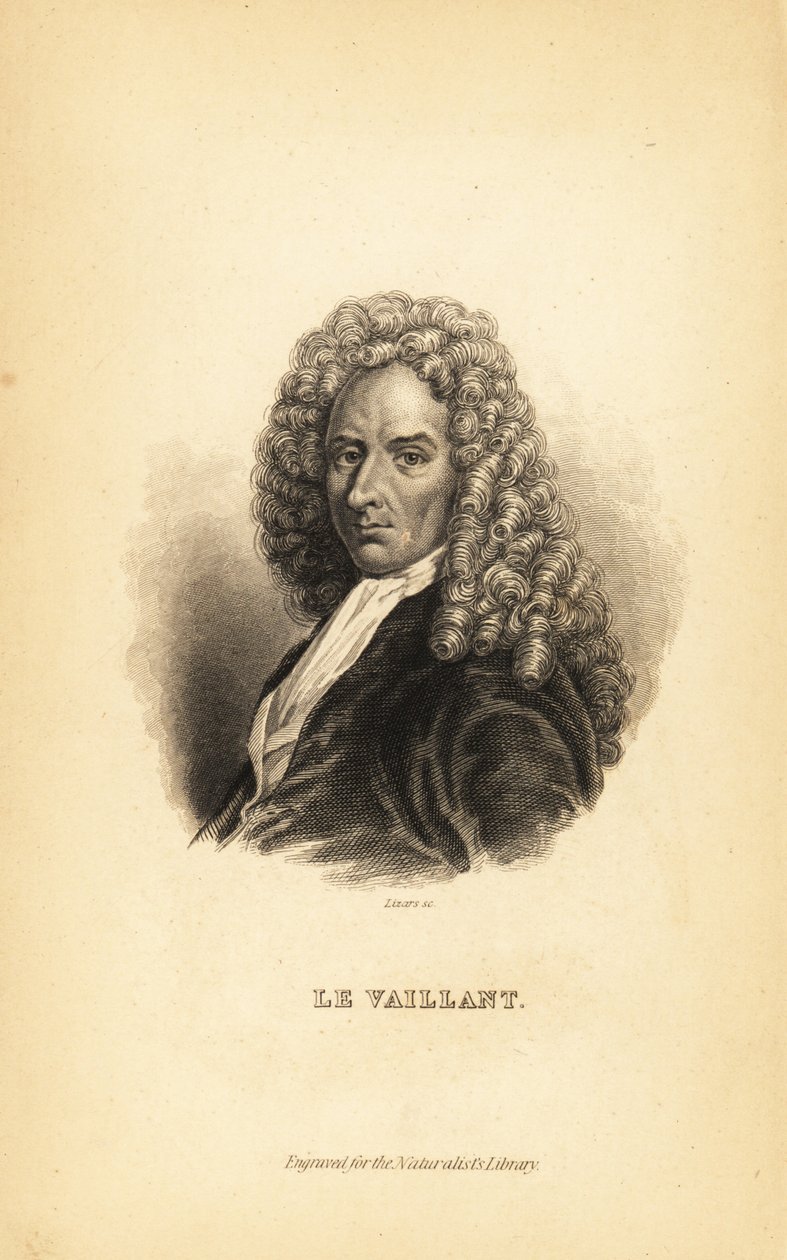 Francois le Vaillant أو Levaillant ، مؤلف ومستكشف وعالم طبيعة وعالم طيور فرنسي بواسطة غير معروف
