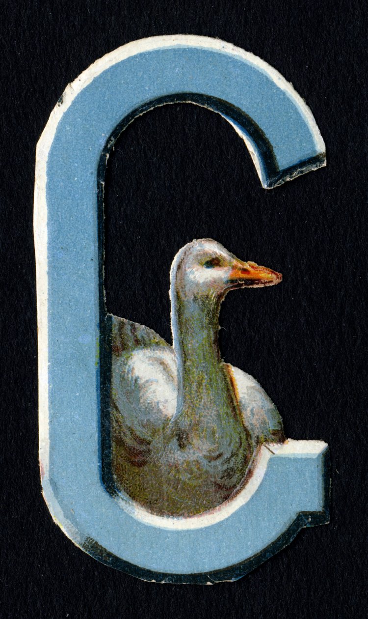 G مثل Goose. بيتل دكوبس حول موضوع الحيوانات. نقش. سلسلة من 26 صورة حجرية ملونة للوافل من أصل إنجليزي. المحرر والرسام غير معروف. نهاية القرن التاسع عشر. قاتمة: 5،5x3،5 سم بواسطة غير معروف