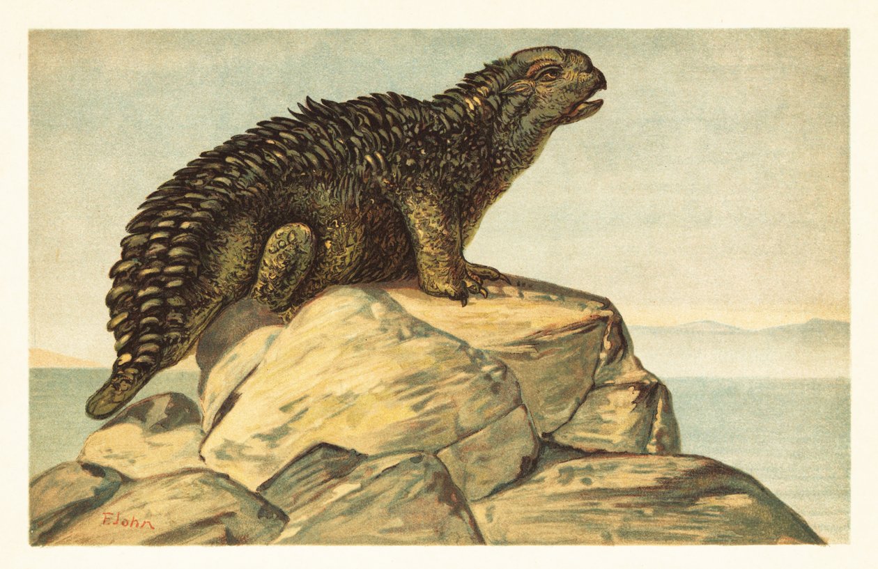 Hylaeosaurus Armatus ، منقرض ديناصور أنكيلوصوريان آكل للعشب ، 1908 (طباعة حجرية) بواسطة فنان غير معروف
