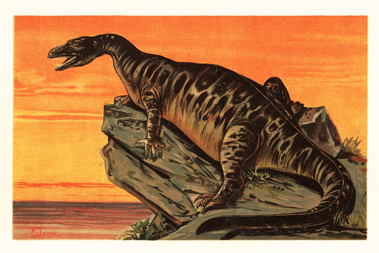 Iguanodon bernissartensis ، الأنواع المنقرضة من Iguanodontian dino1908 (الطباعة الحجرية) بواسطة فنان غير معروف