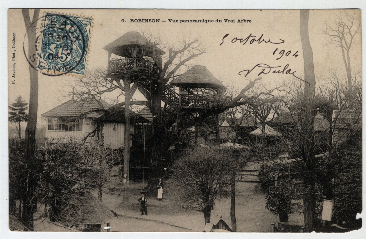 إيل دو فرانس ، Hauts de Seine (92) ، Le Plessis Robinson (Le Plessis-Robinson): منظر بانورامي لـ "True Arbre" ، لوح تم تركيبه أعلى كستناء - بطاقة بريدية مؤرخة عام 1904 بواسطة غير معروف