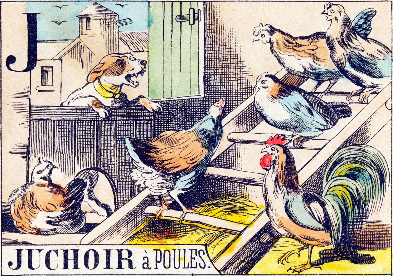 J Juchoir a poules - "أبجدية المزرعة" نهاية القرن التاسع عشر (نقش) بواسطة غير معروف