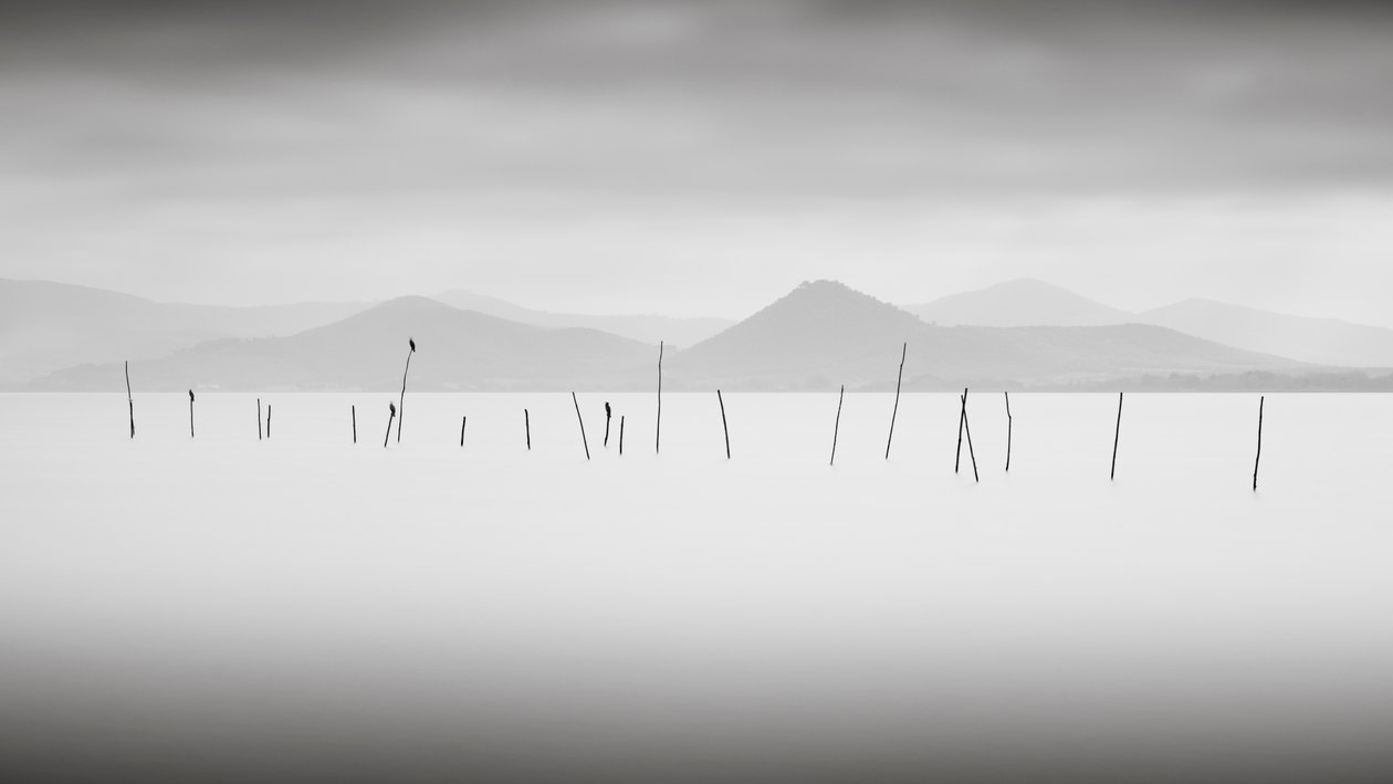 بحيرة Trasimeno ، أومبريا ، إيطاليا ، 2015 (b / w photo) بواسطة فنان غير معروف
