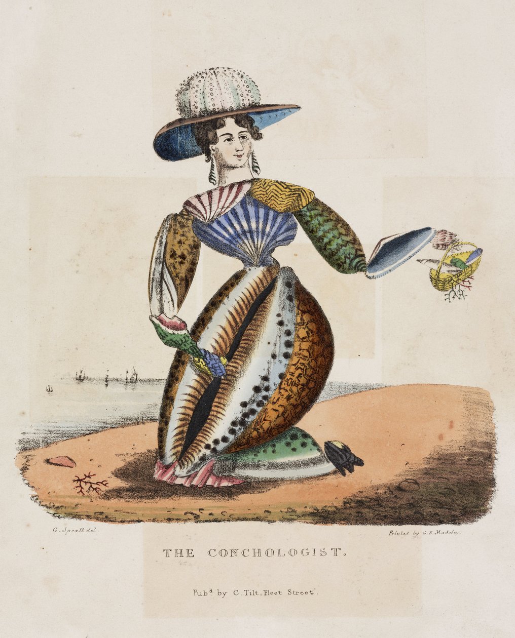 عالم المحار ، حوالي عام 1831 بواسطة غير معروف