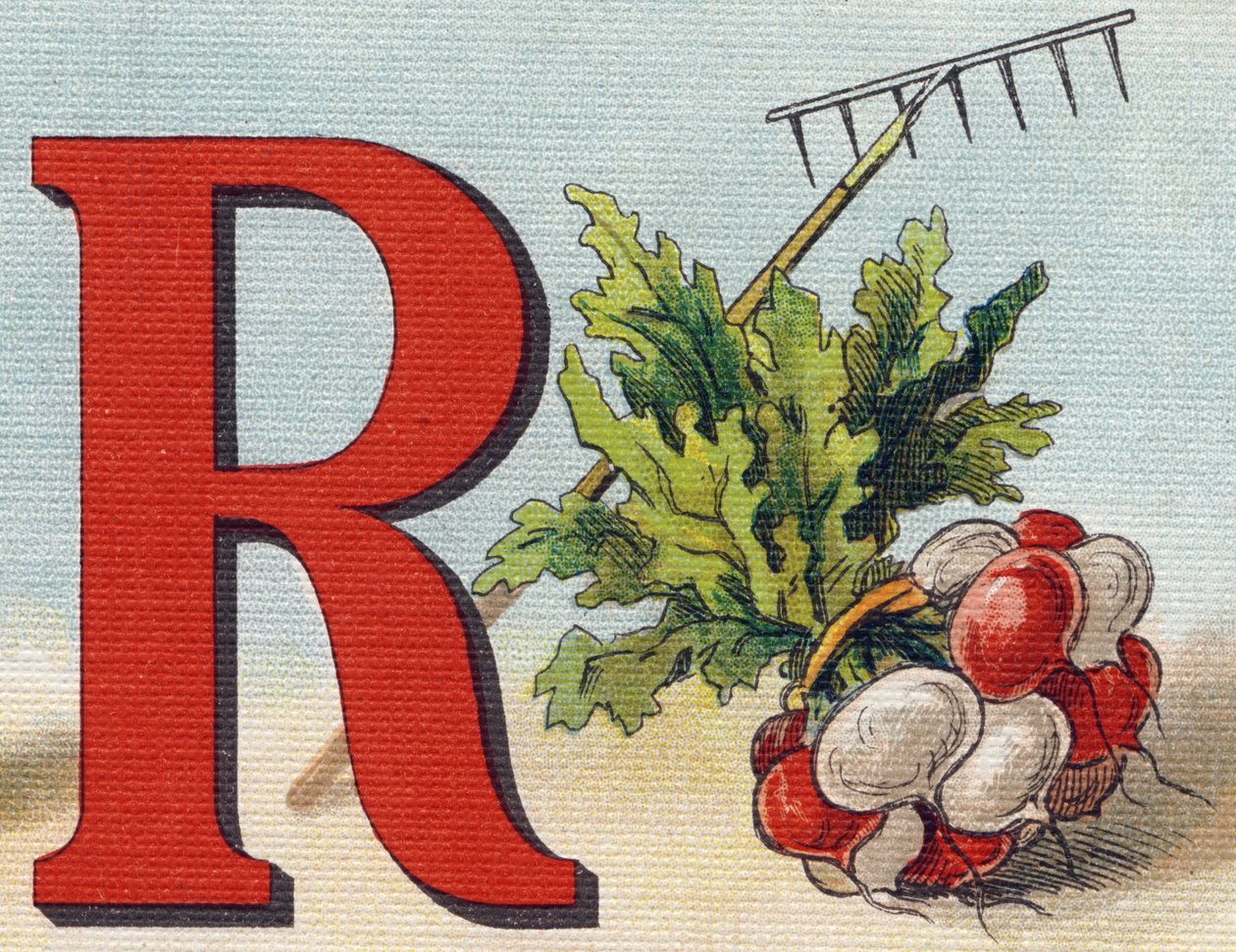 الحرف R: أشعل النار ، فجل. نقش في "Alphabet de ma petite fille". برناردين-بيشيت وفلس ، بائعون وناشرون ، باريس ، حوالي عام 1895. ألبوم غير قابل للكسر على قماش. مكتبة الاطفال. 12 صفحة. ألبوم يحتوي على طريقة القراءة وصورة توضيحية أ بواسطة غير معروف