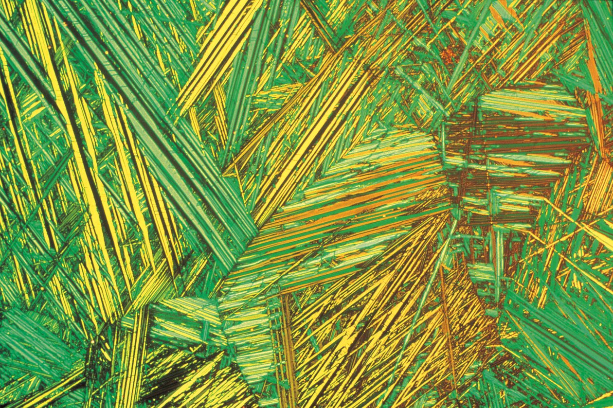 Micrographs (Light) Aluminium bronze, light micrograph بواسطة غير معروف