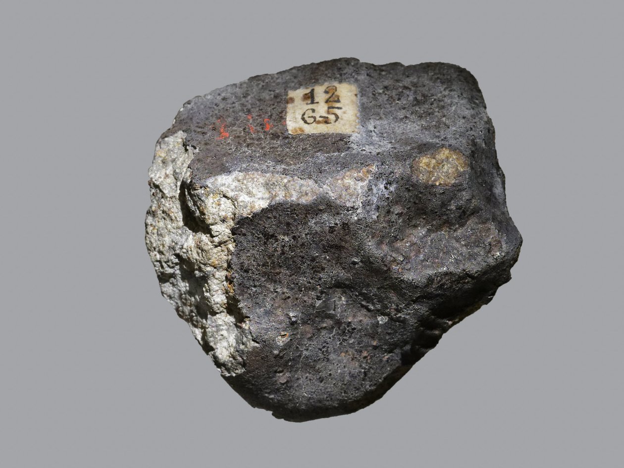 كوندريت عادي (L6). Tombee at L'Aigle (باس نورماندي ، فرنسا) في أبريل 1803. المتحف الوطني للتاريخ الطبيعي ، باريس. بواسطة غير معروف