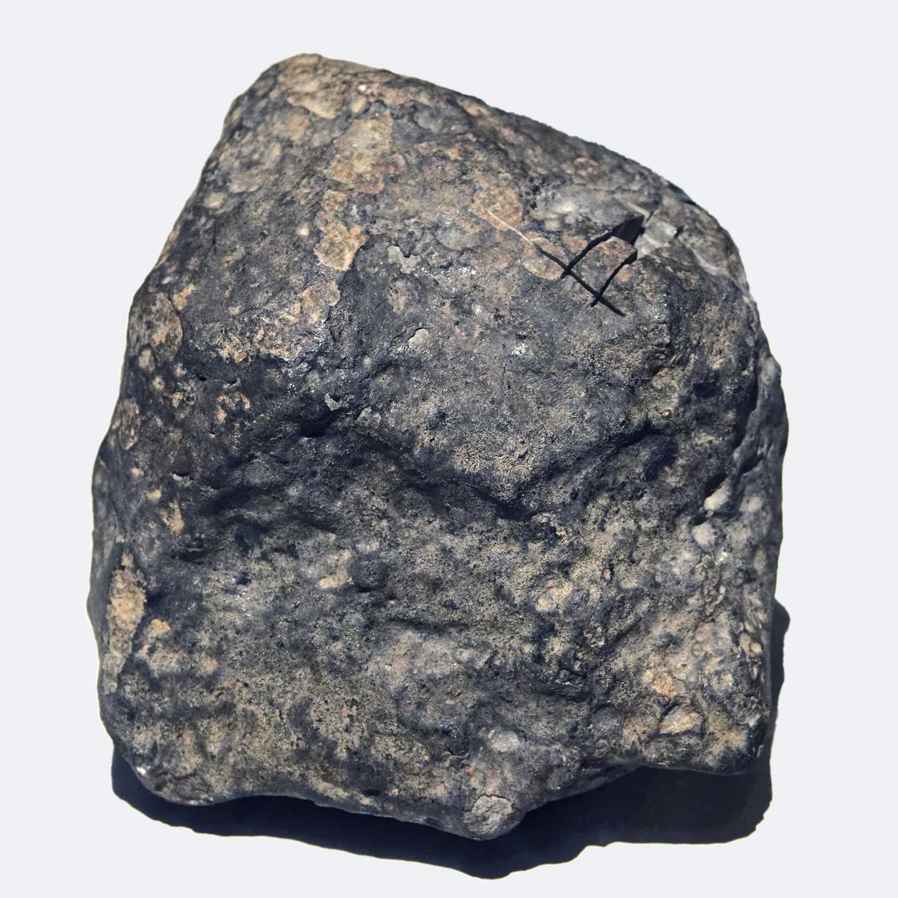 الكوندريت العادي (L / LL5). Toimbee في أوكرانيا عام 1866. المتحف الوطني للتاريخ الطبيعي ، باريس. بواسطة غير معروف