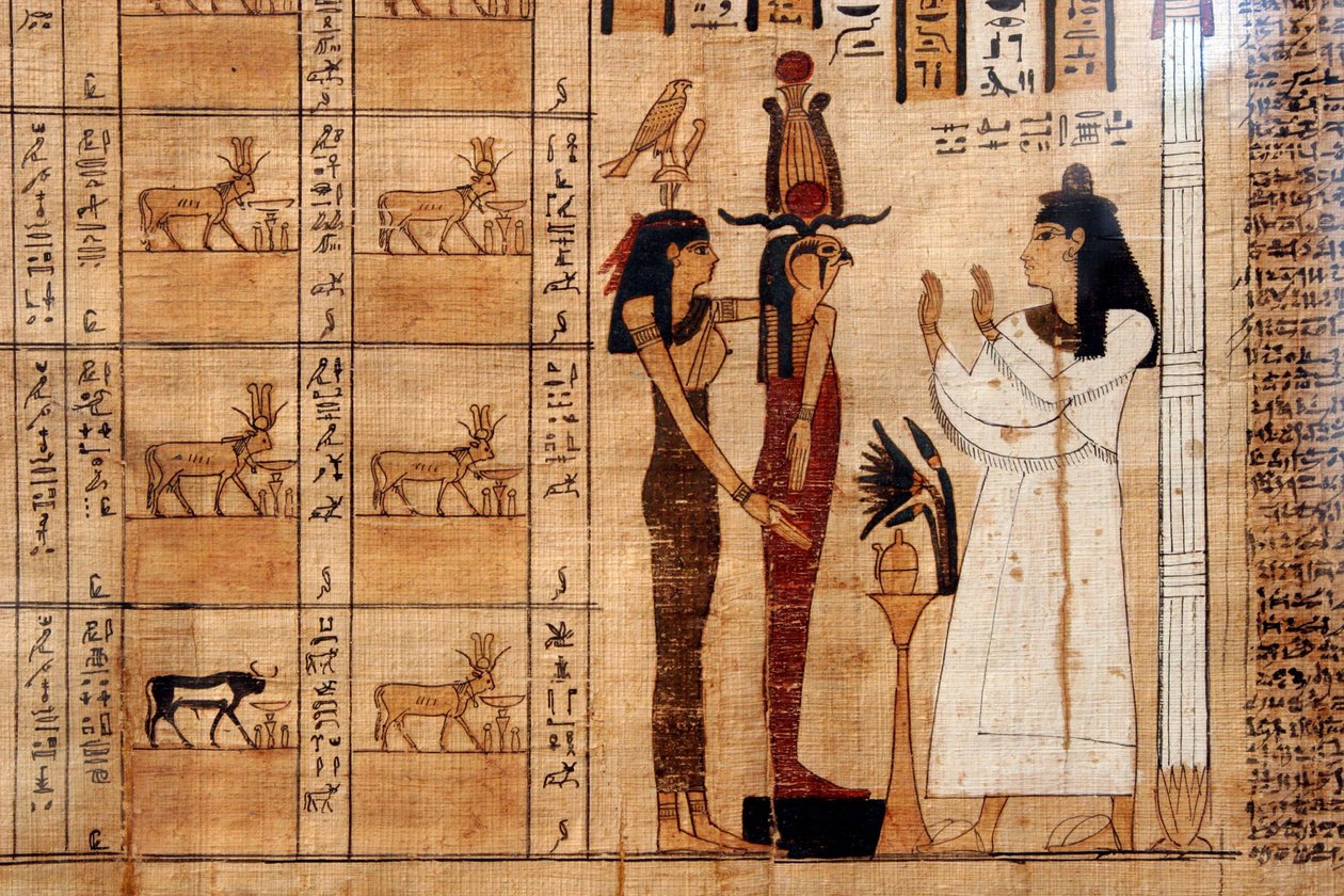 بردية من كتاب الموتى ، المتحف المصري ، تورين بواسطة غير معروف