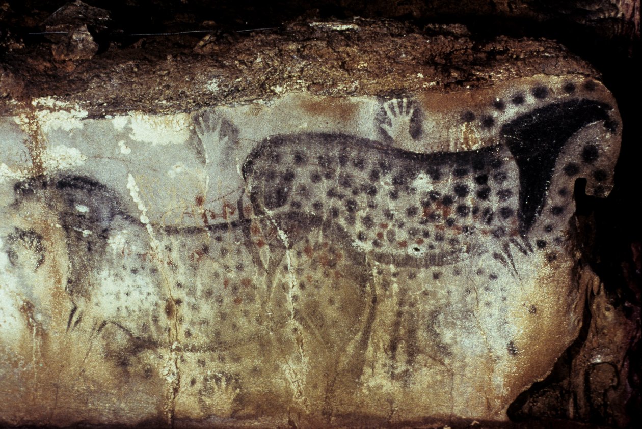 كهف ما قبل التاريخ من Pech Merle / بقعة الخيول والأيدي السلبية / 25000 سنة / Cabrerets / Lot / Midi Pyrenees / فرنسا بواسطة غير معروف