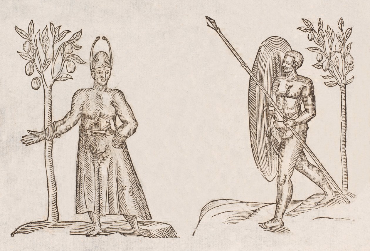 Rex sinus Antongil & Miles sinus Antongil بواسطة غير معروف