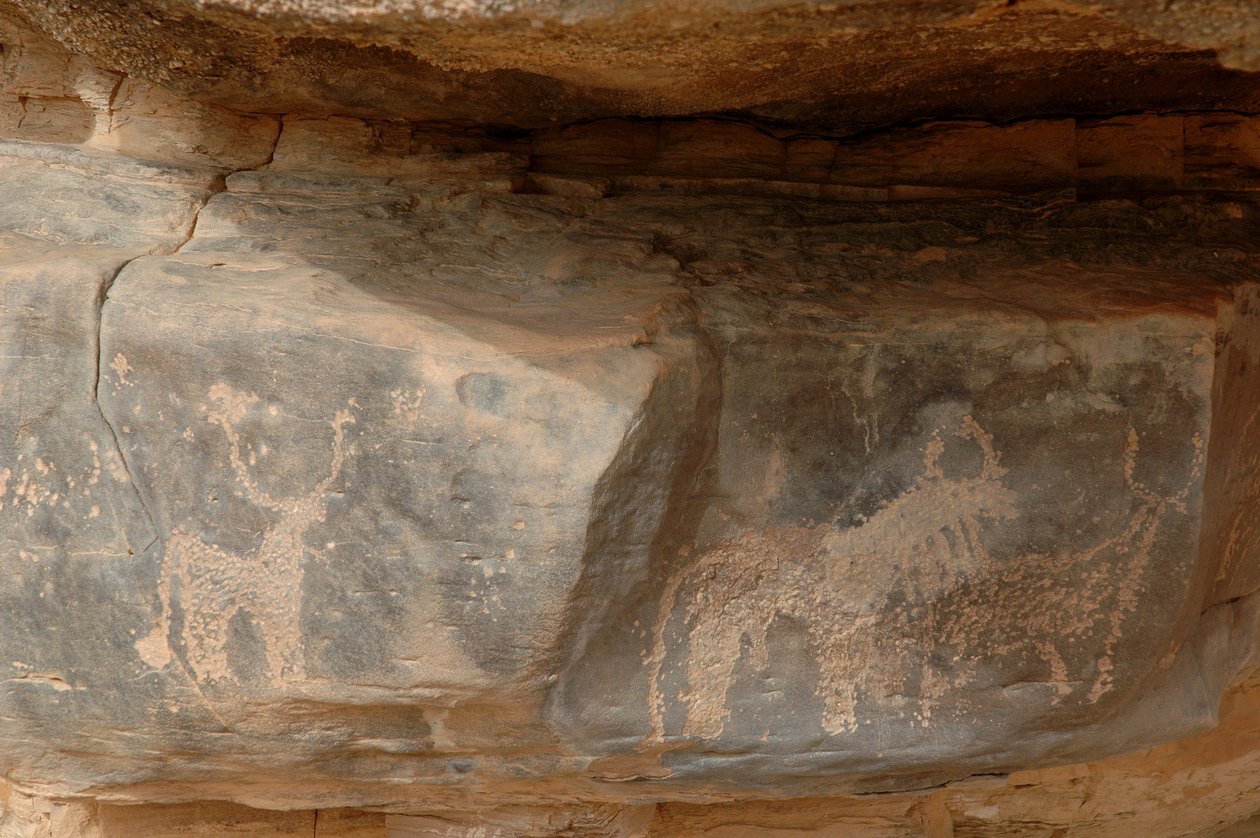 فن صخري ، عصور ما قبل التاريخ: نقش لثلاث قطعان في جبل العوينات ، السودان (كركور الطلح أو كركور الطلح). الفترة من 8000 إلى 3000 سنة قبل الميلاد. التصوير بواسطة غير معروف