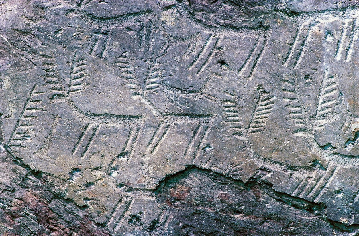 منحوتات صخرية في منتزه ماسي دي سيمو الأثري الوطني ، فال كامونيكا (قائمة اليونسكو للتراث العالمي بواسطة فنان غير معروف