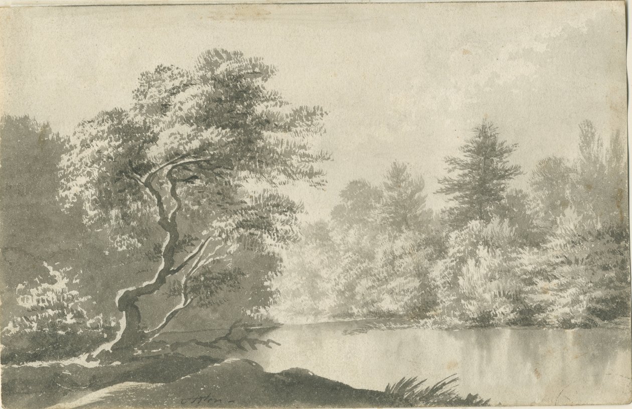 Shenstone - حمام سباحة بالقرب من Little Aston: رسم غسيل بني داكن ، بدون تاريخ [19th cent] بواسطة غير معروف